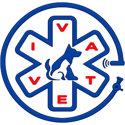 IVAVET